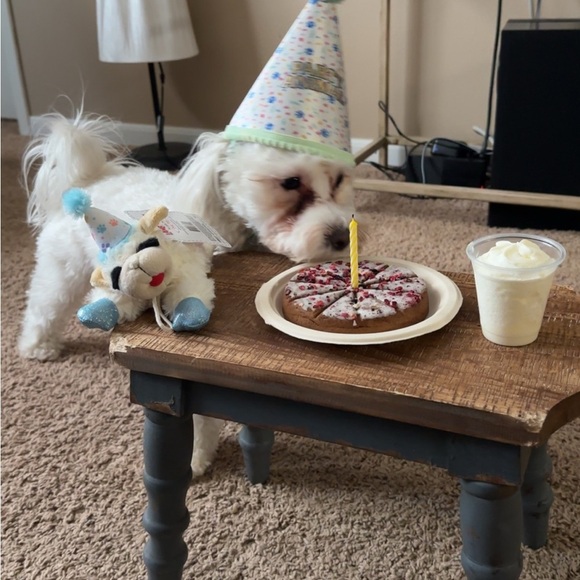 Unlisted Other - Extra shipping label DOG NOT INCLUDED